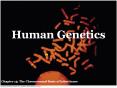 Human Genetics PowerPoint PPT Presentation