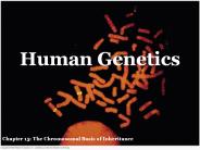 Human Genetics
