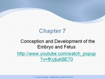 Conception and Development of the Embryo and Fetus