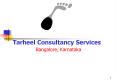 Tarheel Consultancy Services PowerPoint PPT Presentation