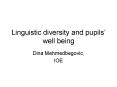 Linguistic diversity and pupils PowerPoint PPT Presentation