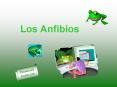 Los Anfibios PowerPoint PPT Presentation