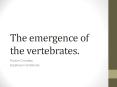 The emergence of the vertebrates. PowerPoint PPT Presentation