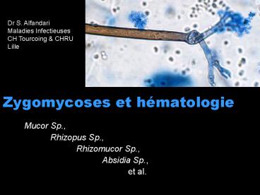 Zygomycoses et h