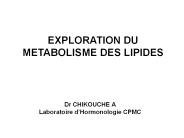 Cours Les lipides m