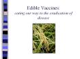 Edible Vaccines: eating our way to the eradication of disease PowerPoint PPT Presentation
