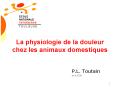 La physiologie de la douleur chez les animaux domestiques PowerPoint PPT Presentation