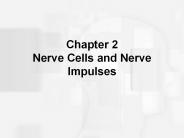 Chapter 2 Nerve Cells and Nerve Impulses