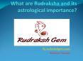 Rudraksh and Astrology PowerPoint PPT Presentation