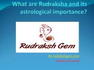 Rudraksh and Astrology