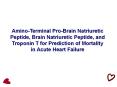 Amino-Terminal Pro-Brain Natriuretic Peptide, Brain Natriuretic Peptide, and Troponin T for Prediction of Mortality in Acute Heart Failure PowerPoint PPT Presentation