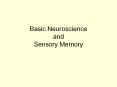 Basic Neuroscience and Sensory Memory PowerPoint PPT Presentation