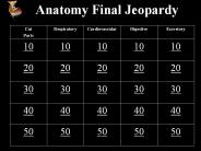 Anatomy Final Jeopardy