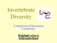 Invertebrate Diversity