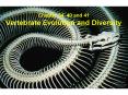 Vertebrate Evolution and Diversity PowerPoint PPT Presentation