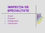 INSPECTIA DE SPECIALITATE