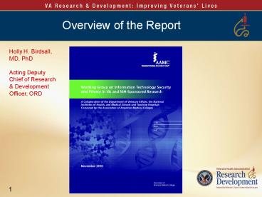 Overview of the Report (Holly H. Birdsall)