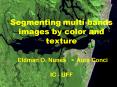 Segmenting multi bands images by color and texture  Eldman O. Nunes - Aura Conci  IC - UFF PowerPoint PPT Presentation