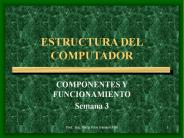 ESTRUCTURA DEL COMPUTADOR