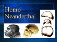 Homo Neardental