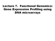 Lecture 7. Functional Genomics: Gene Expression Profiling using