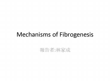 Mechanisms of Fibrogenesis