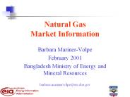 Natural Gas Market Information