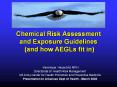 Chemical Risk Assessment and Exposure Guidelines (and how AEGLs fit in) PowerPoint PPT Presentation