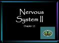 Nervous System II PowerPoint PPT Presentation