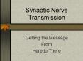 Synaptic Nerve Transmission PowerPoint PPT Presentation