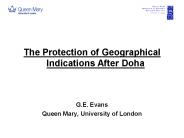 The Protection of Geographical Indications After Doha