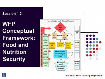 Session 1.2.  WFP Conceptual Framework: Food and Nutrition Security