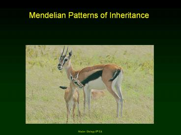 Mendelian Patterns of Inheritance