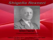 Shigella flexneri
