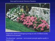 Genes and Environment Determine Characters