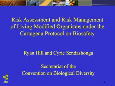 Risk Assessment and Risk Management of Living Modified Organisms under the Cartagena Protocol on Biosafety