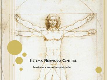 Sistema Nervioso Central