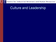 Culture and Leadership