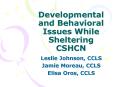 Developmental and Behavioral Issues While Sheltering CSHCN PowerPoint PPT Presentation