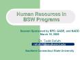 Human Resources in BSW Programs PowerPoint PPT Presentation