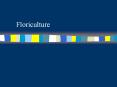 Floriculture PowerPoint PPT Presentation