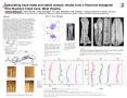 Interpreting trace-metal and stable isotopic results from a Holocene stalagmite     from Buckeye Creek Cave, West Virginia.                                            Ashley Williams1, Harry Rowe2, Greg PowerPoint PPT Presentation
