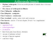 Arthropods/insects