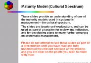 Maturity Model (Cultural Spectrum)