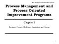 Process Management and Process Oriented Improvement Programs PowerPoint PPT Presentation