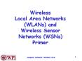 Wireless Local Area Networks (WLANs) and Wireless Sensor Networks (WSNs) Primer PowerPoint PPT Presentation