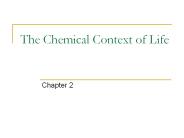 The Chemical Context of Life