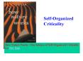How Nature Works : The Science of Self-Organized Criticality by Per Bak PowerPoint PPT Presentation