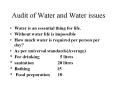 Audit of Water and Water issues PowerPoint PPT Presentation