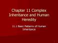 Chapter 11 Complex Inheritance and Human Heredity PowerPoint PPT Presentation